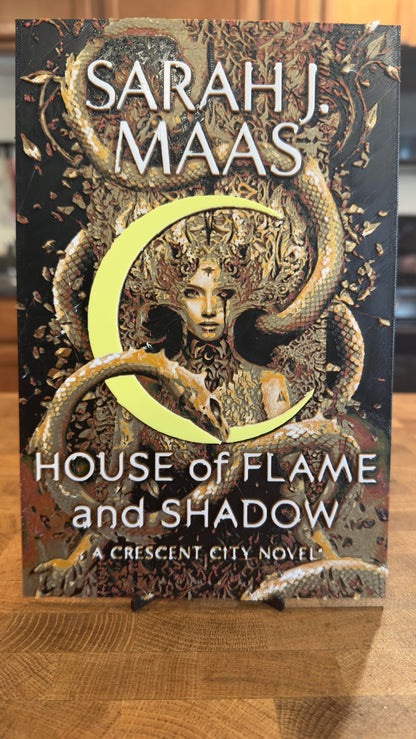 Urban Romantasy 3D Printed Poster Wall Art or Desk Art Flame Shadow Romantasy