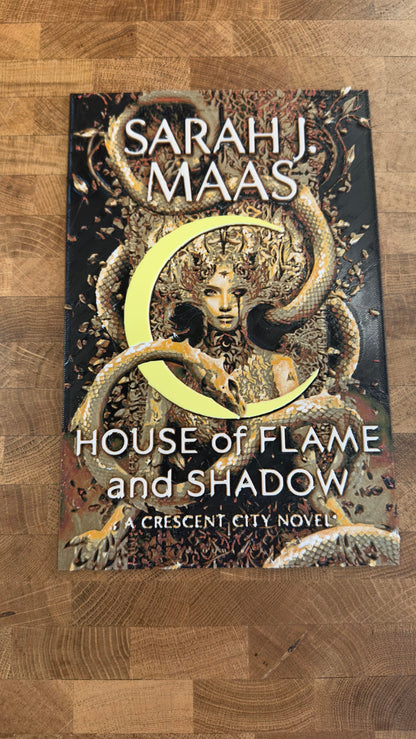 Urban Romantasy 3D Printed Poster Wall Art or Desk Art Flame Shadow Romantasy