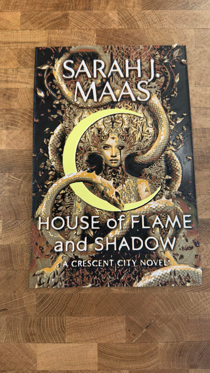 Urban Romantasy 3D Printed Poster Wall Art or Desk Art Flame Shadow Romantasy