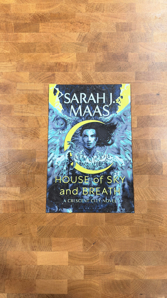 Crescent City 3D Printed Poster: Sarah J. Maas Fantasy Art - photo 1 (photos/photo_01.jpg)