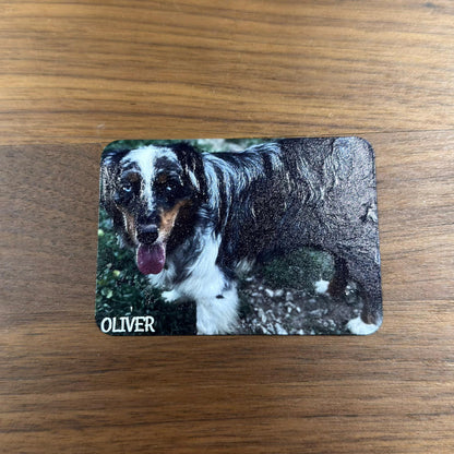 Pet Portraits - Custom UV Printed Canvas Metal Poster Paper and More - photo 6 (photos/photo_06.jpg)