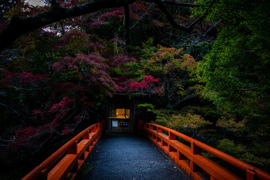Photography: Arashiyama Mystery - artwork